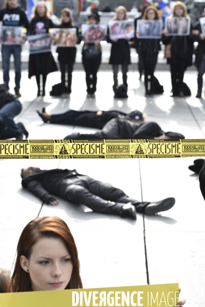 Cause animale : Happening Journée mondiale vegan. Animals rights.