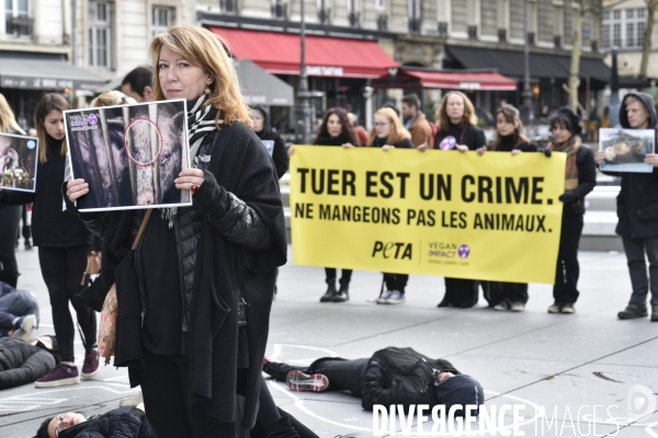 Cause animale : Happening Journée mondiale vegan. Animals rights.