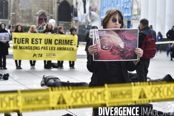 Cause animale : Happening Journée mondiale vegan. Animals rights.