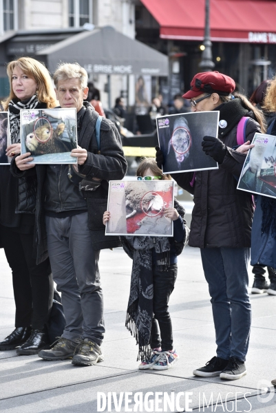 Cause animale : Happening Journée mondiale vegan. Animals rights.