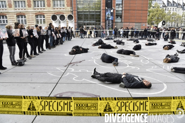 Cause animale : Happening Journée mondiale vegan. Animals rights.