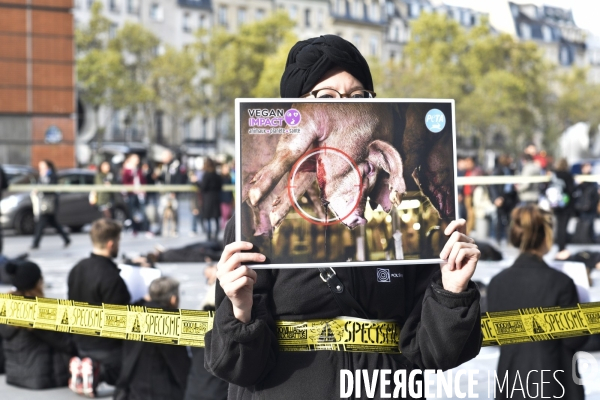 Cause animale : Happening Journée mondiale vegan. Animals rights.