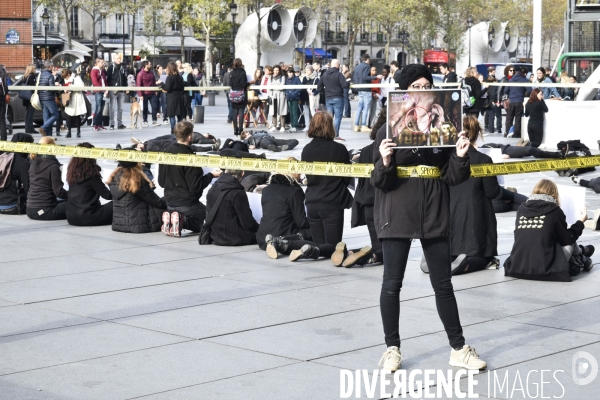 Cause animale : Happening Journée mondiale vegan. Animals rights.