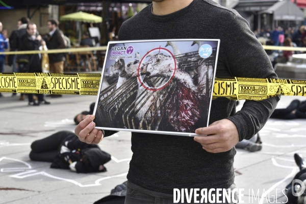 Cause animale : Happening Journée mondiale vegan. Animals rights.