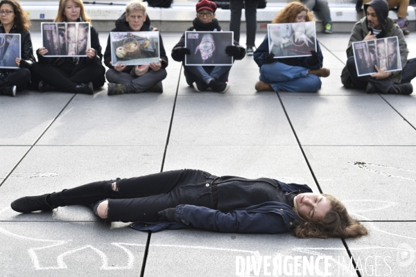 Cause animale : Happening Journée mondiale vegan. Animals rights.