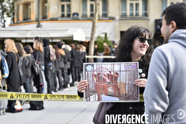 Cause animale : Happening Journée mondiale vegan. Animals rights.