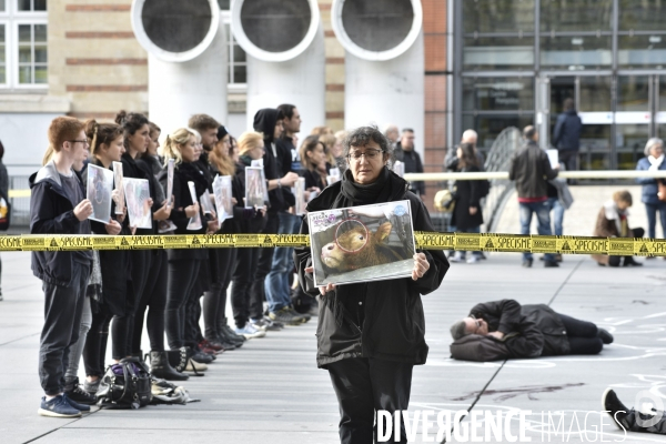 Cause animale : Happening Journée mondiale vegan. Animals rights.