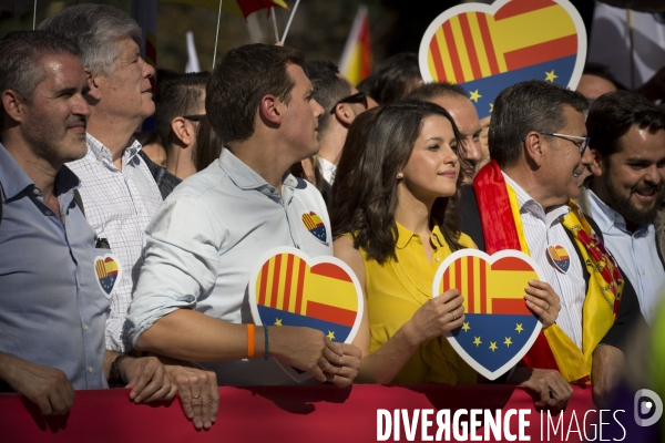 Les Unionistes Espagnols battent le pavé