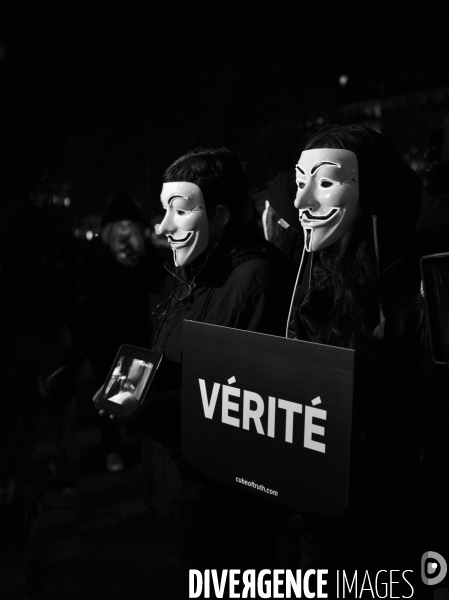 Action cause animale, ANONYMOUS FOR THE VOICELESS, Cube of Truth. Animals rights.