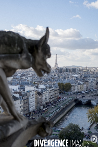 Paris vue de Notre-Dame