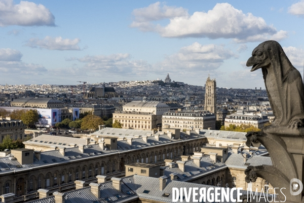 Paris vue de Notre-Dame