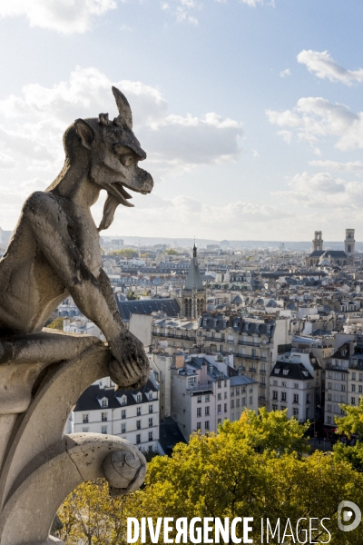 Paris vue de Notre-Dame