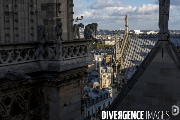 Paris vue de Notre-Dame