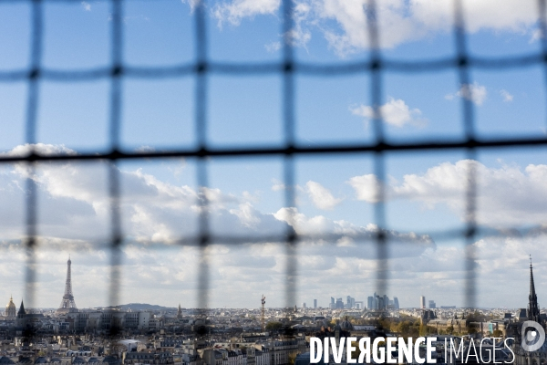 Paris vue de Notre-Dame