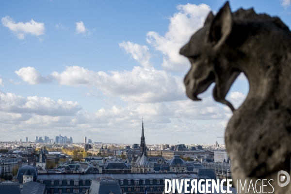 Paris vue de Notre-Dame