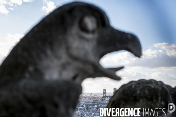 Paris vue de Notre-Dame