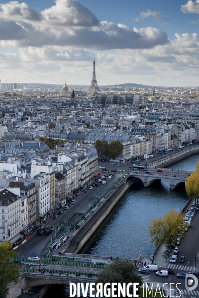 Paris vue de Notre-Dame