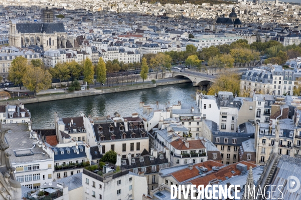 Paris vue de Notre-Dame