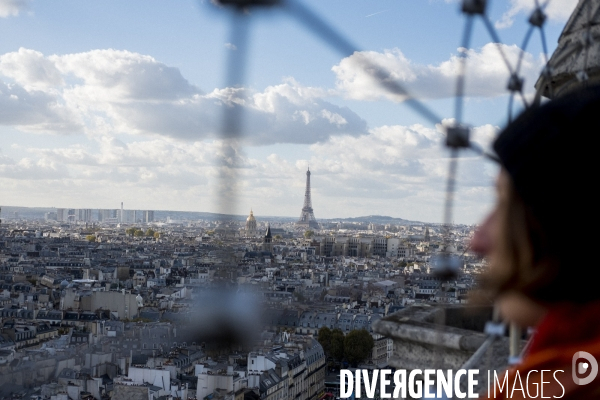 Paris vue de Notre-Dame