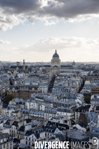 Paris vue de Notre-Dame