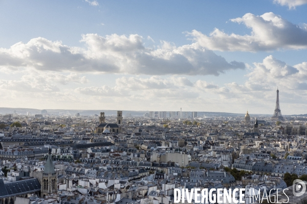 Paris vue de Notre-Dame