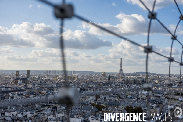 Paris vue de Notre-Dame