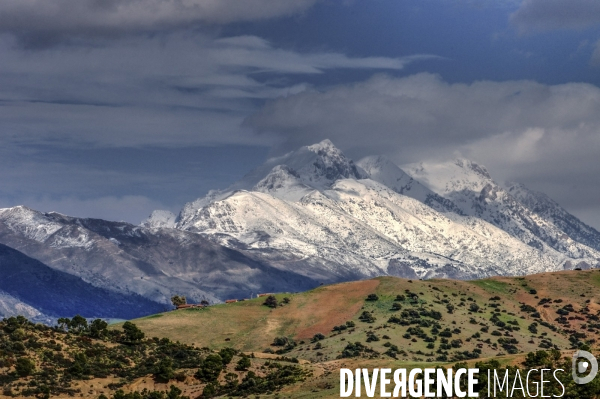 Photos d algerie
