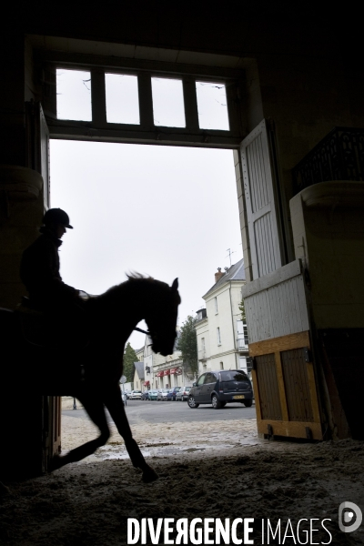 Saumur, ville cheval