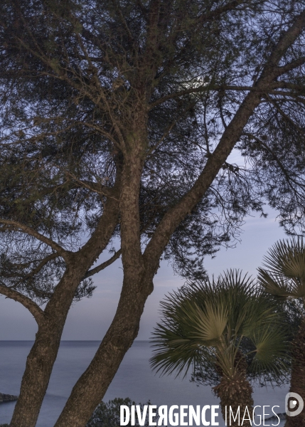 Littoral, paysages marin en automne.