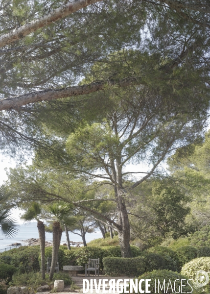 Littoral, paysages marin en automne.