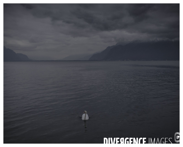 Riviera Vaudoise # 5