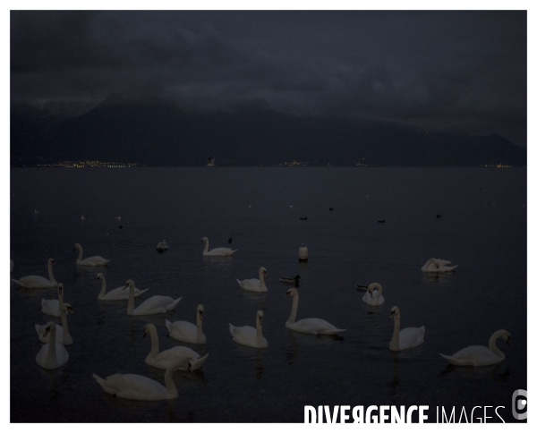 Riviera Vaudoise # 5