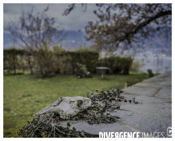 Riviera Vaudoise # 5