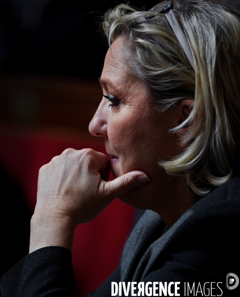 Marine Le Pen