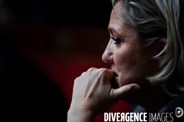 Marine Le Pen