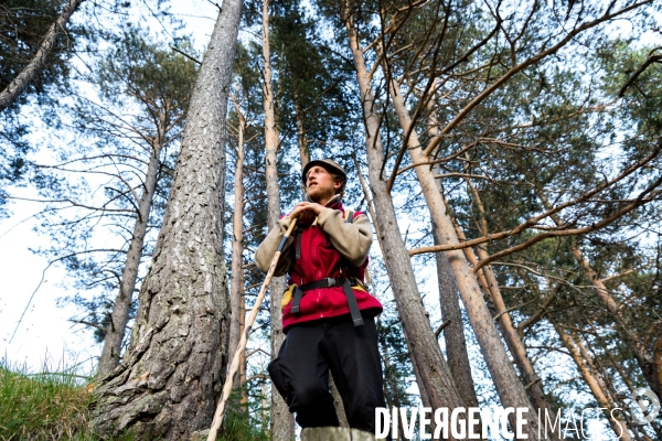 En transhumance avec un berger et ses brebis brigasques