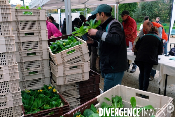 Vente des surplus de plantes vertes par le service des Espaces verts de la ville de Paris.Campagne de la municipalite: vegetalisons Paris