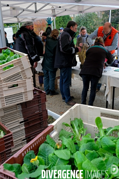 Vente des surplus de plantes vertes par le service des Espaces verts de la ville de Paris.Campagne de la municipalite: vegetalisons Paris