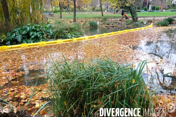 Automne au Parc Monceau