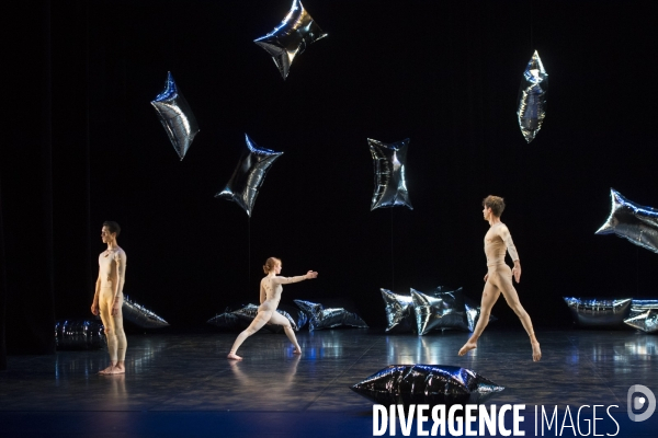 RAINFOREST de Merce Cunningham