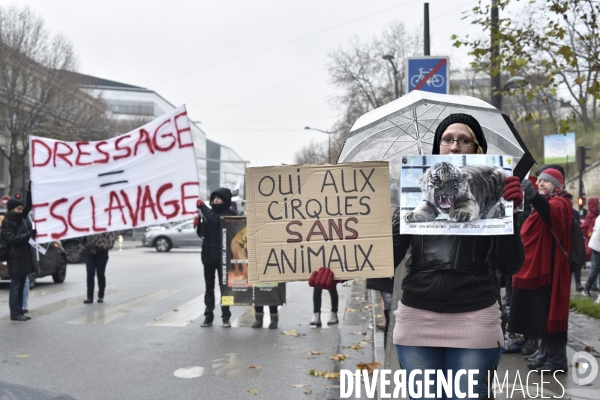 Cause animale : contre l exploitation des animaux dans les cirques. Animals rights.