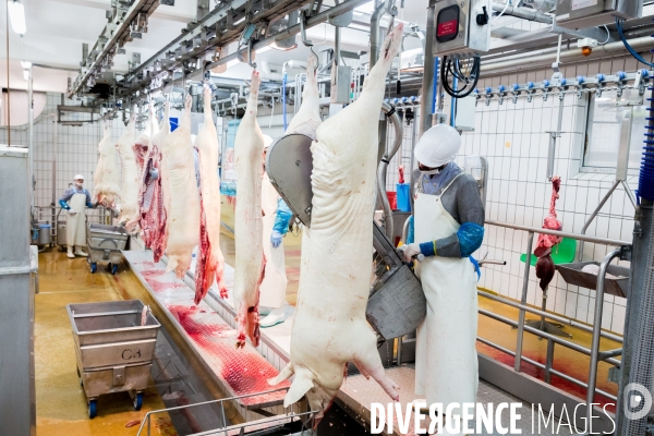 Tout est bon dans le cochon ?