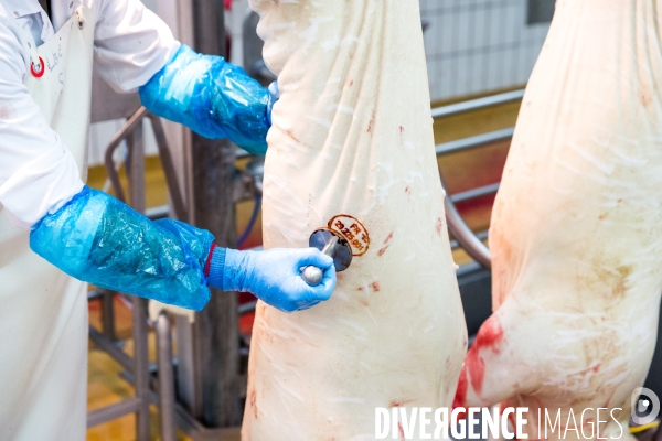 Tout est bon dans le cochon ?