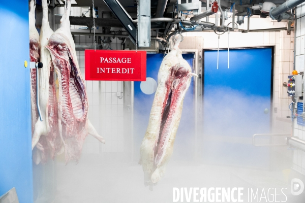 Tout est bon dans le cochon ?