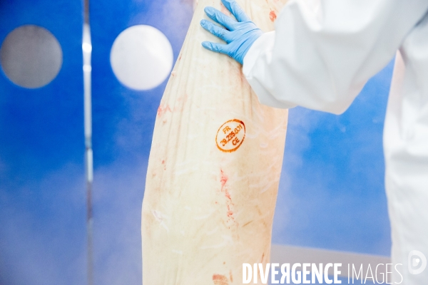 Tout est bon dans le cochon ?