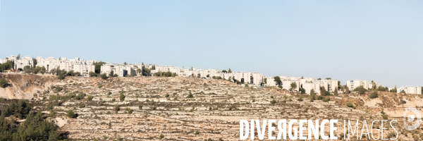 Moyen Orient