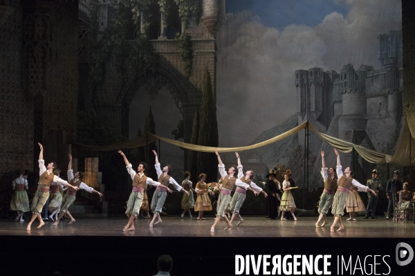 DON QUICHOTTE de Rudolf Noureev