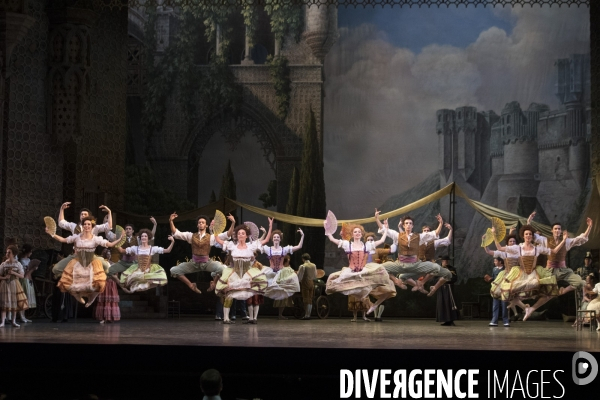 DON QUICHOTTE de Rudolf Noureev