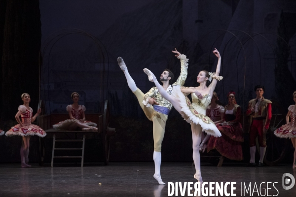 DON QUICHOTTE de Rudolf Noureev