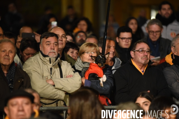 Catalogne. Meeting de Ciudadanos pour les élections provinciales.